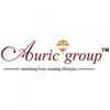 Auric Infraprojects Ltd.