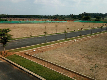 Vinra Oasis