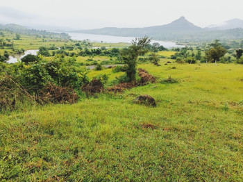 Shradha Eatates Plotting