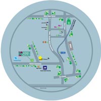 Lotus City Lotus City