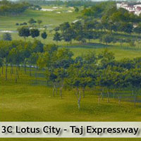 Lotus City Lotus City