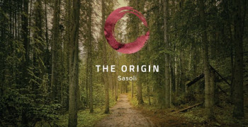 The Origin