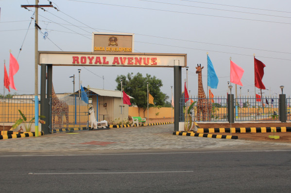 Royal Avenue