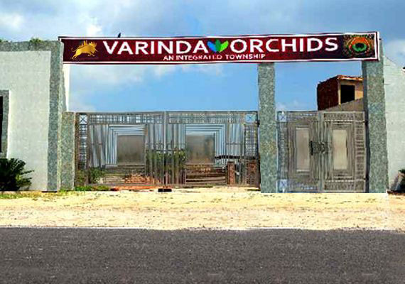 Varinda Orchids