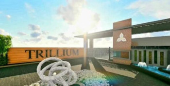 Trillium City