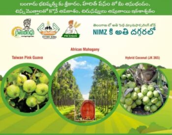 Haritha Vanam