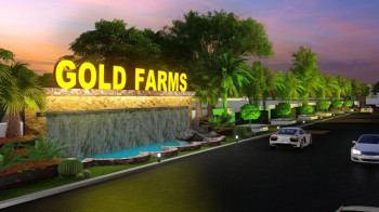 Gold Farm