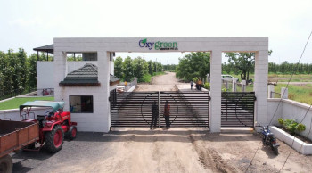 Oxygreen Farm