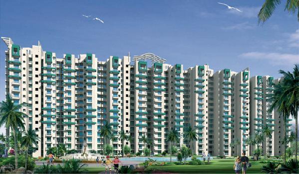 Eco Village