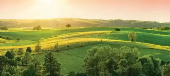 Century Seasons