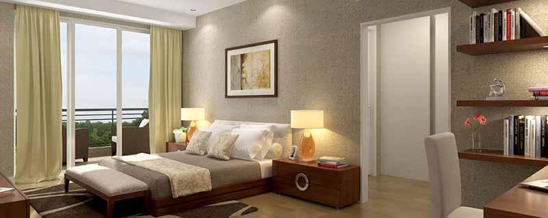 DLF Camellias