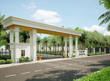 Palm Drive