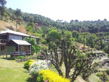 Auramah Valley