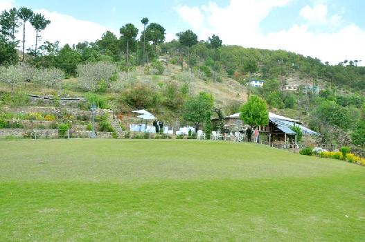 Auramah Valley