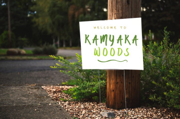 Kamyaka Woods