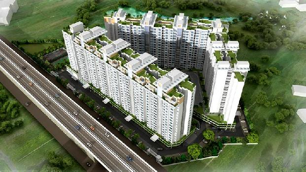 Nitesh Virgin Island