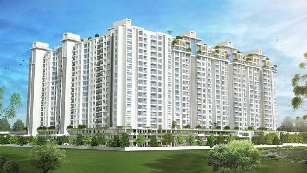 Nitesh Virgin Island