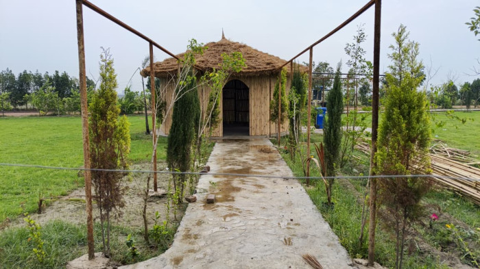 Lotus Farms