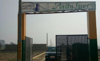 Amity Greens