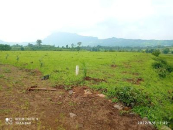 55 Guntha Agricultural/Farm Land For Sale In Trimbak, Nashik