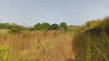 Property for sale in Dindori, Nashik