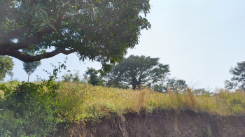 Property for sale in Dindori, Nashik