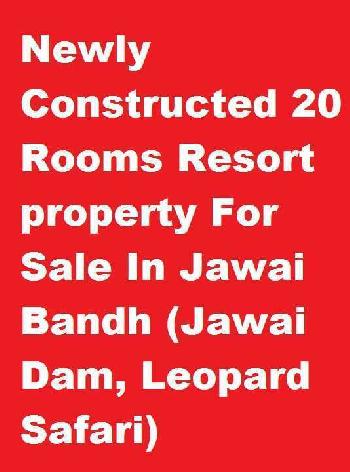 Newly Constructed 20 Rooms Resort Property for Sale