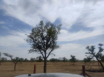 Property for sale in Sumerpur Pali