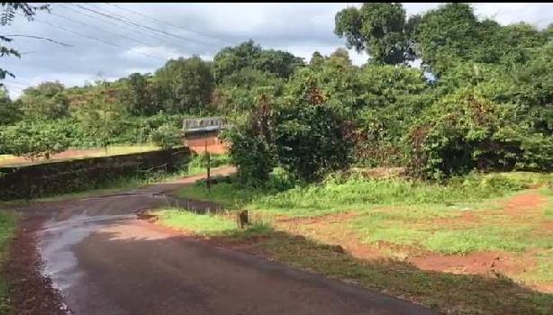 22 Guntha Commercial Lands /Inst. Land for Sale in Pali, Ratnagiri