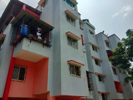 1 BHK Flats & Apartments for Sale in Rajapur, Ratnagiri (680 Sq.ft.)