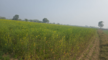 Agriculture Land for Sale On State Highway