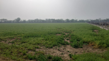 Property for sale in Dudu, Jaipur