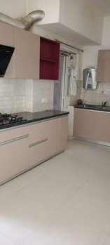 3 BHK Flats & Apartments for Rent in Sector 106, Gurgaon (1625 Sq.ft.)