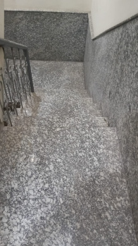 Flats & Apartments for Rent in Sector 10, Dwarka, Delhi (1550 Sq.ft.)