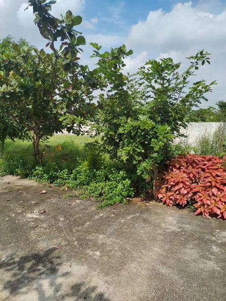 Residential Plot for Sale in Jigani, Bangalore (1200 Sq.ft.)