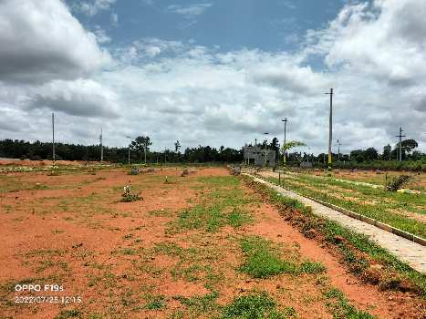 1200 Sq.ft. Residential Plot for Sale in Nelamangala, Bangalore