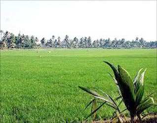 Agricultural/Farm Land for Sale in Baruipur, Kolkata (1000 Bigha)