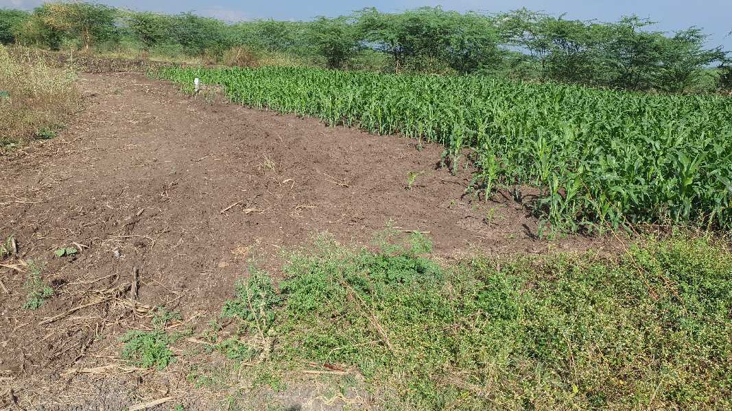 40000 Sq.ft. Agricultural/Farm Land for Rent in Talegaon Dabhade, Pune