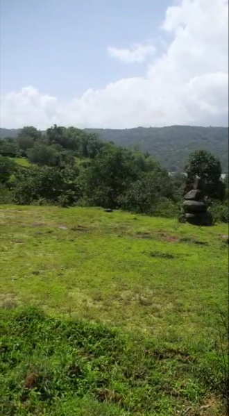 1000000 Sq.ft. Agricultural/Farm Land for Sale in Bhor, Pune
