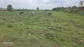 4 acre agriculture land for sale in vitthalwadi near Talegaon