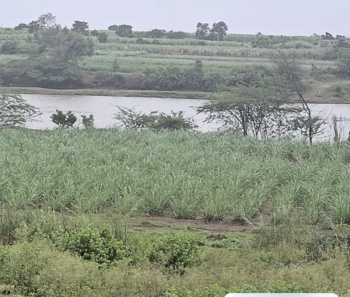 River touch agriculture land for sale
