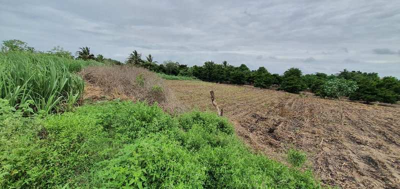 Agricuture Land for Sale near Shikrapur