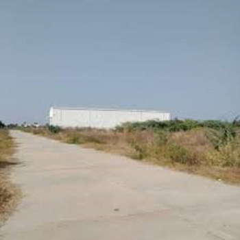 3.5 Acre Agricultural/Farm Land for Sale in Taoru, Gurgaon