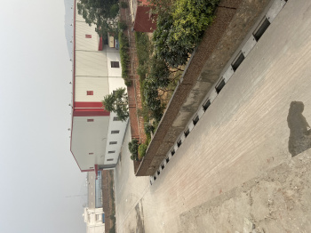 Industrial Land / Plot for Sale in Sare Khurd, Bhiwadi (13000 Sq.ft.)