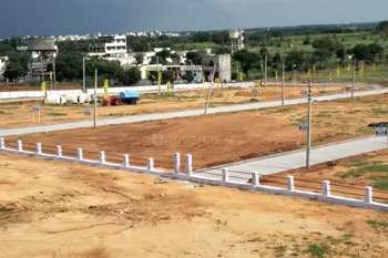Residential Plot For Sale In Sangli (5000 Sq.ft.)
