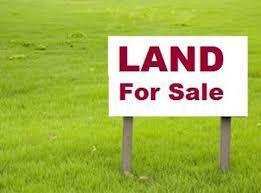 60 Acre Agricultural/Farm Land for Sale in Rahon, Nawanshahr
