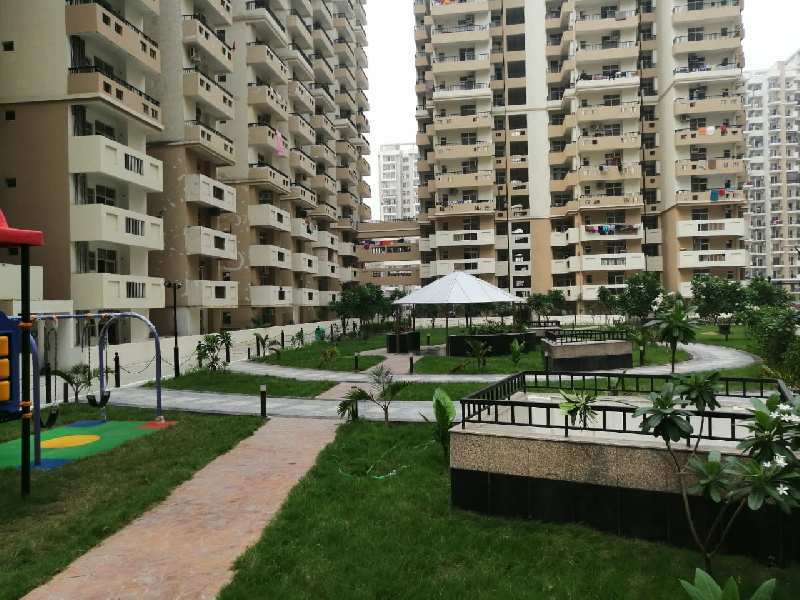 3 BHK Flats & Apartments for Sale in Sector 143, Noida (1255 Sq.ft.)