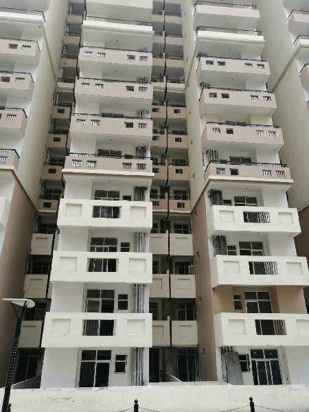 3 BHK Flats & Apartments for Sale in Sector 17, Dwarka, Delhi (1200 Sq.ft.)