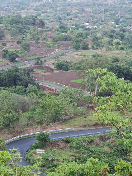 Beautiful 20,000 sq.ft plots each for farm house in Pune near Khadakwasala Dam