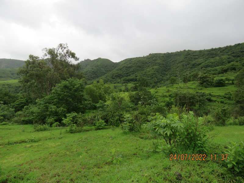 2 Acres plot available for sale near Sinhagad, Khadakwasla, Pune.  Plot ideal for resort.